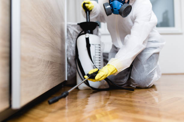 Best Ant Control Services  in Winter Springs, FL