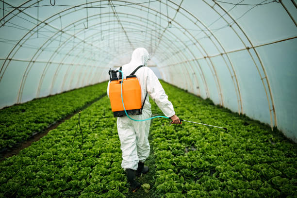 Best Pest Prevention Services  in Winter Springs, FL