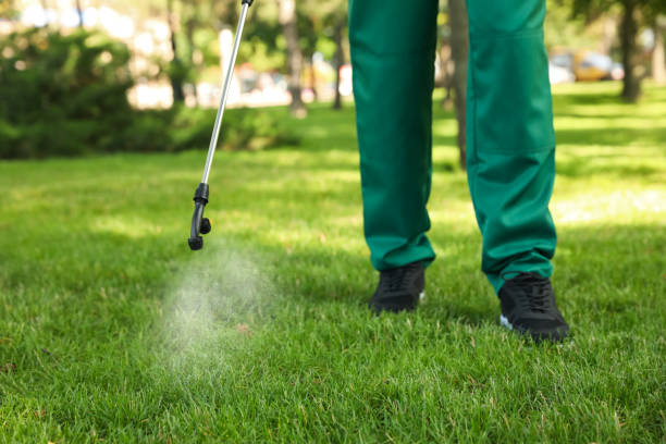 Best Bird Control  in Winter Springs, FL