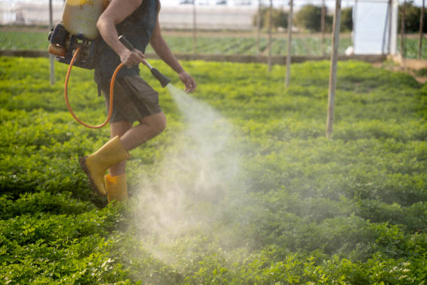 Best Pest Prevention Services  in Winter Springs, FL