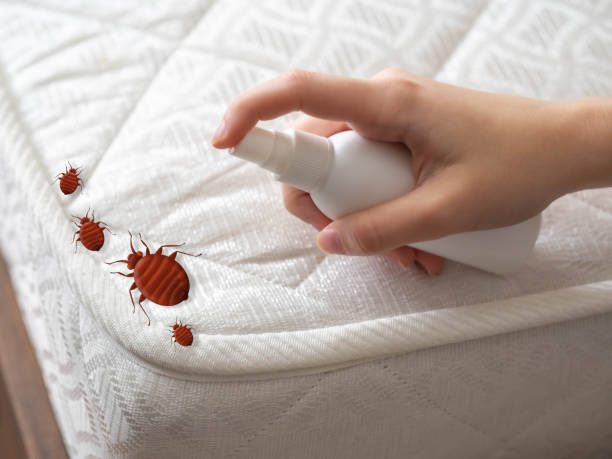 Best Mosquito Control Services  in Winter Springs, FL