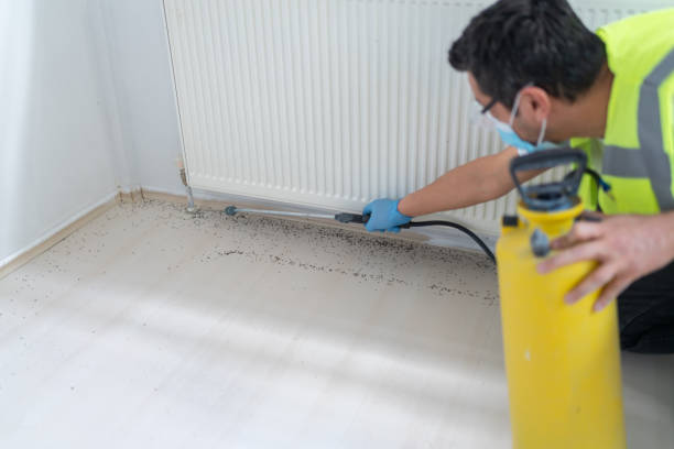 Best Wasp Removal Services  in Winter Springs, FL