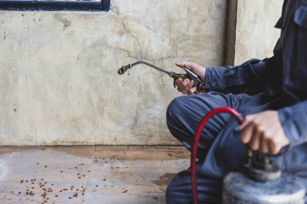 Best Pest Control for Businesses  in Winter Springs, FL